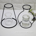 transparent hydroponic flower vase decoration ornaments